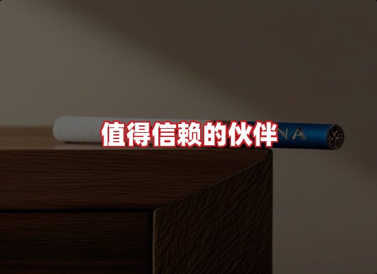 专业团队